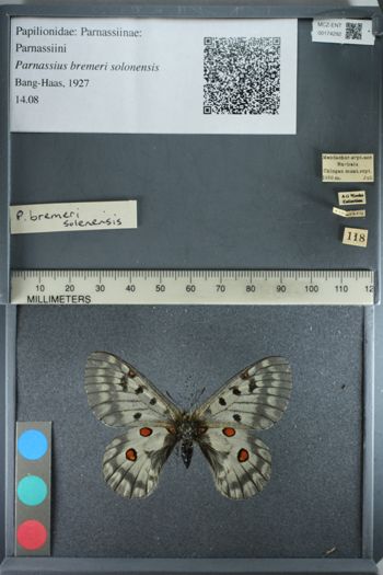 Media type: image;   Entomology 174292